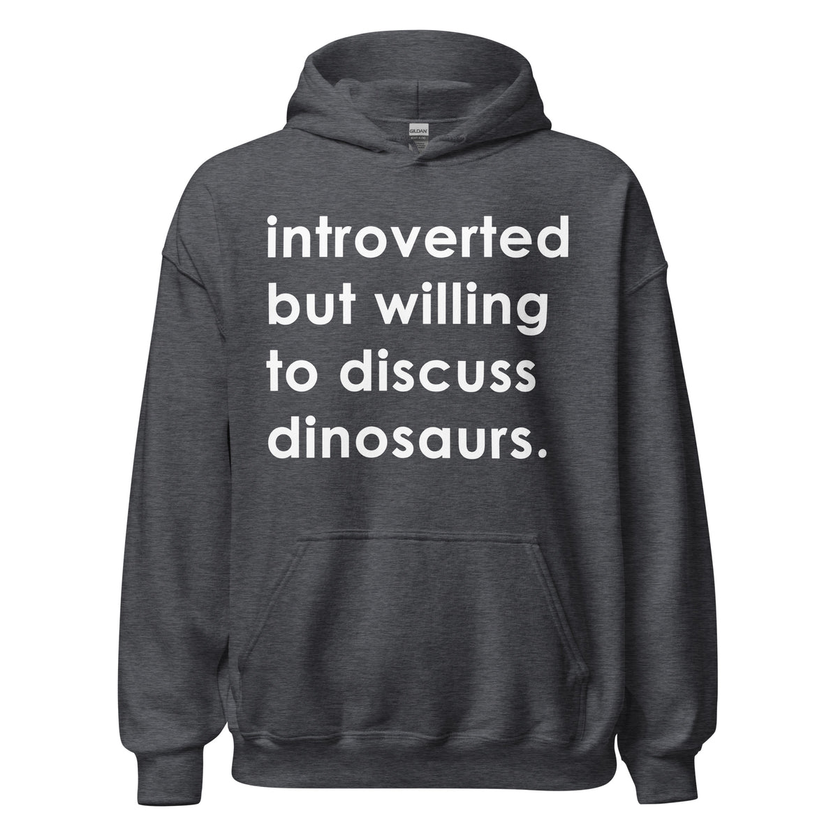 Introverted But Willing To Discuss Dinosaurs • Hoodie