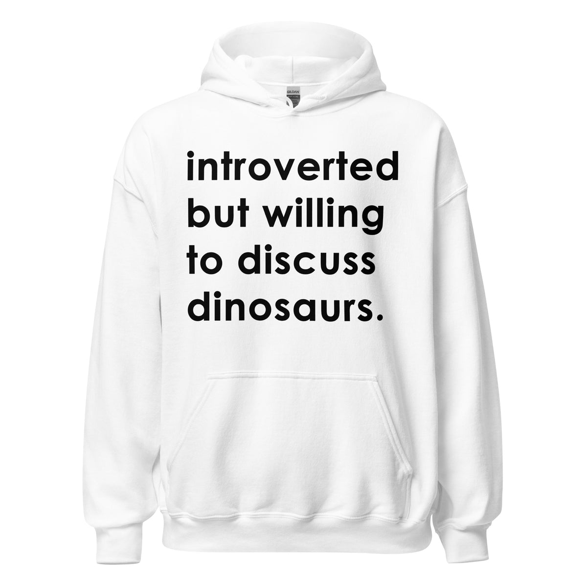 Introverted But Willing To Discuss Dinosaurs • Hoodie