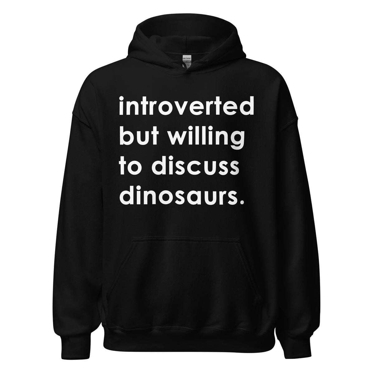 Introverted But Willing To Discuss Dinosaurs • Hoodie