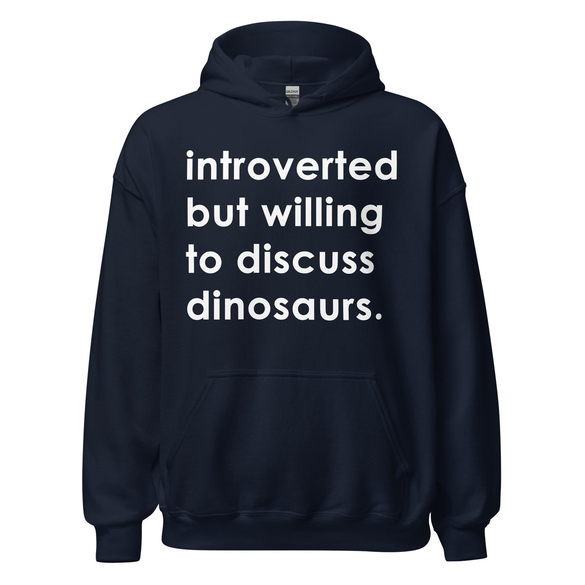 Introverted But Willing To Discuss Dinosaurs • Hoodie